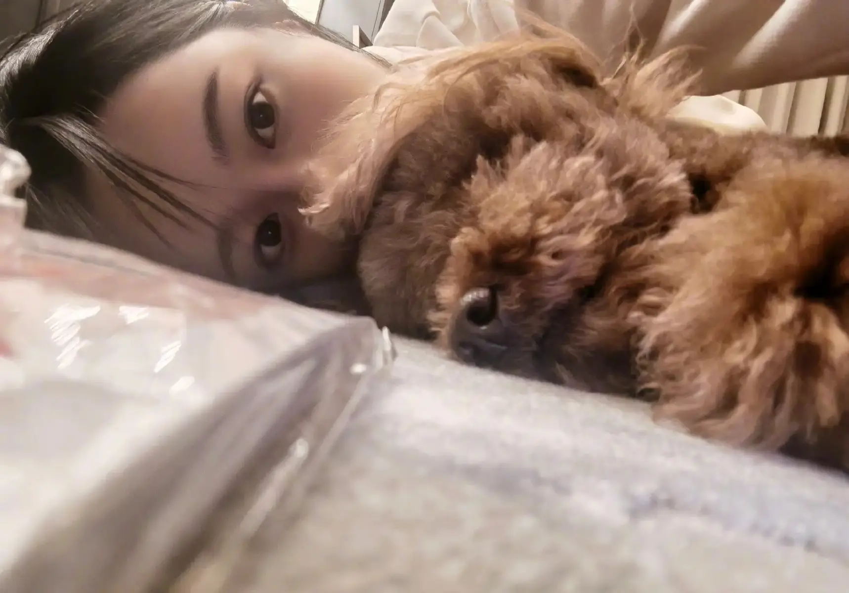 杨紫与宠物狗小piu亲密贴贴合影！画面温馨有爱