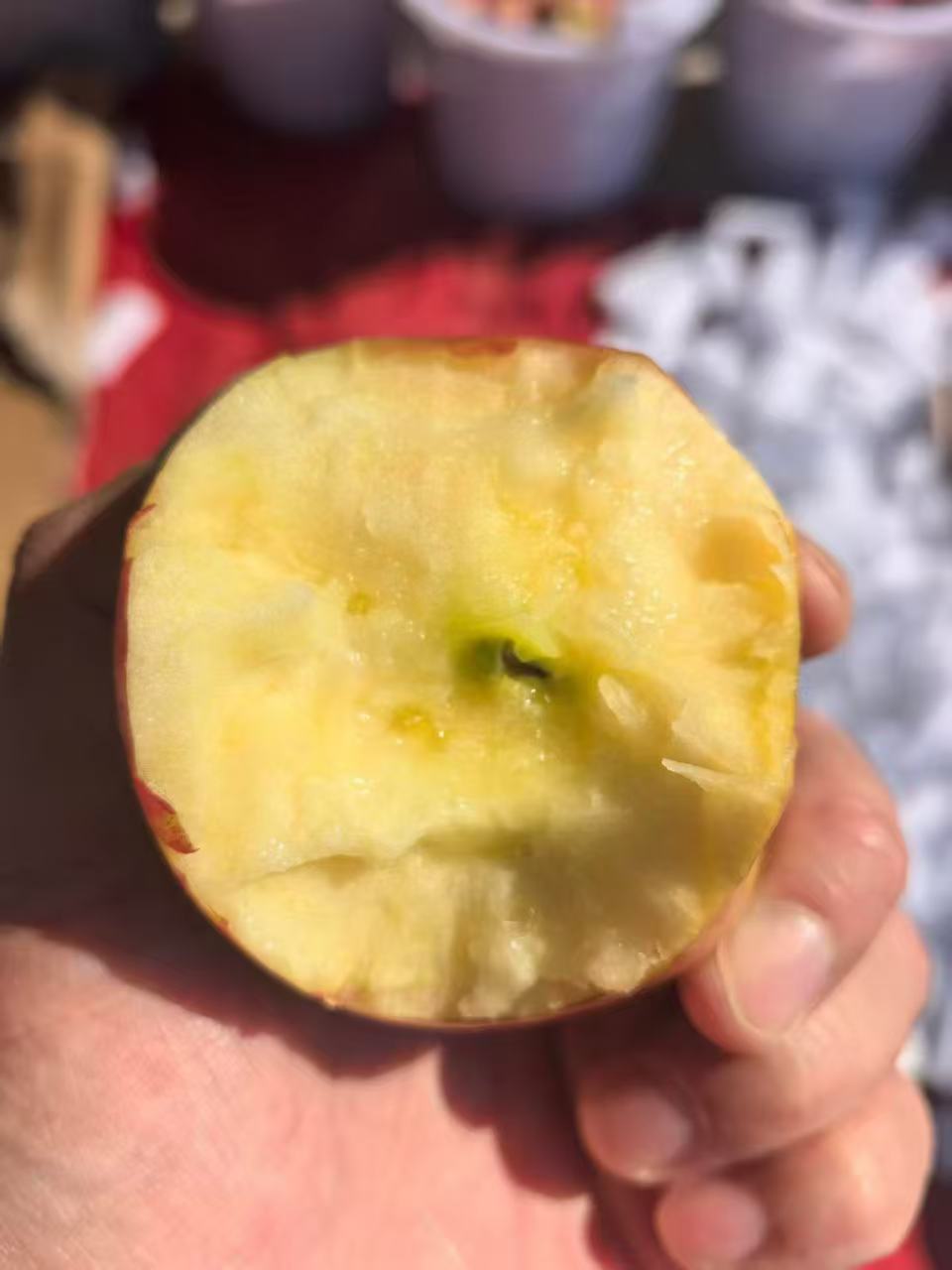丽江高原丑苹果，秋日美味攻略🍎
