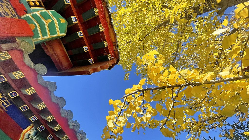 《业力管理》：业力法则的终极智慧：爱是最大的消业力