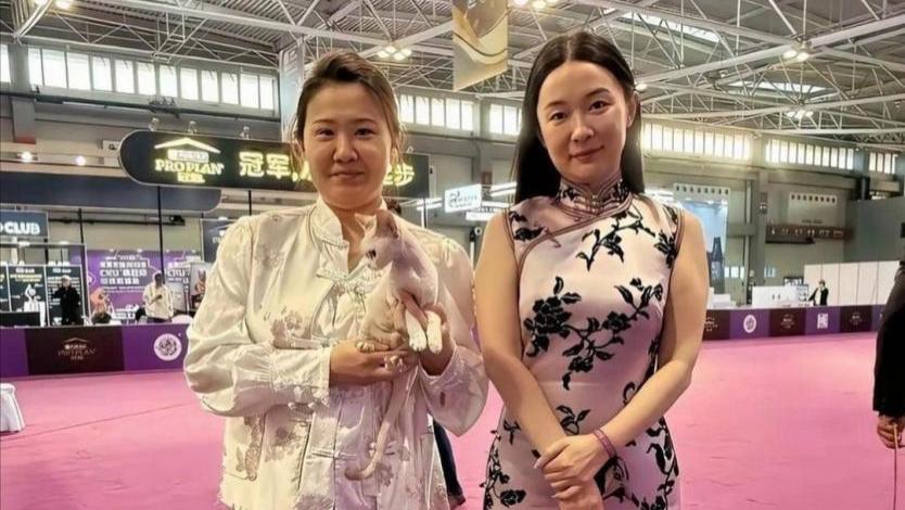 从青岛到意大利，霍思燕携犬征战五大国际赛事，成绩单亮了！