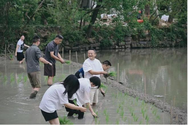红船观察丨马云频繁现身：从下田插秧，到造访哈佛