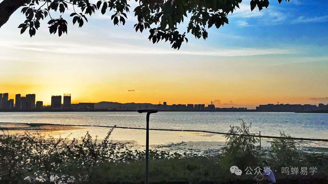 格局法和旺衰法，主要有哪些区别？