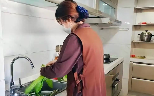 保姆去世后雇主夫妇替她养儿子，多年后得知保姆真实身份，老两口哭了