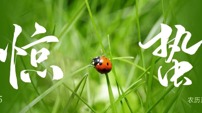 惊蛰到了，你身体里蛰伏了一冬天的阳气，该醒了