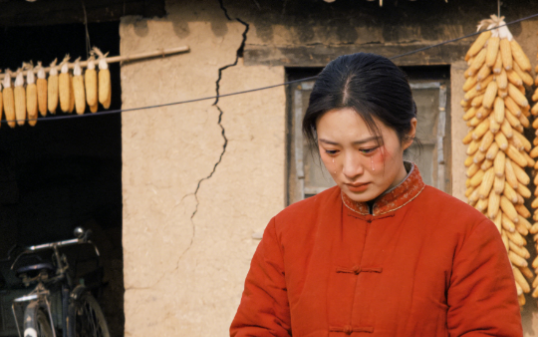 婶子把家里唯一一匹牛卖了供我上大学，20年后，我功成名就，她来电说叔叔要和她离婚，我只回了她几个字