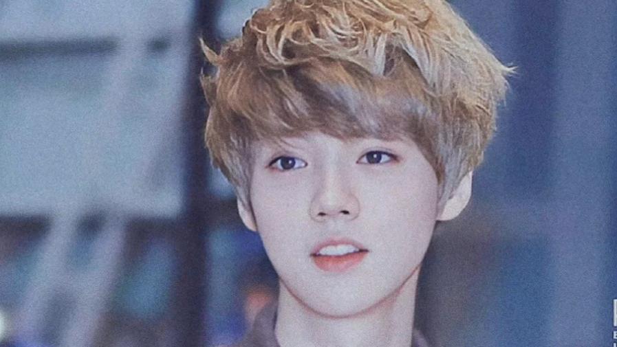 鹿晗演唱会清唱后紧急“刹车”？一句“要版权”为何被赞上热搜