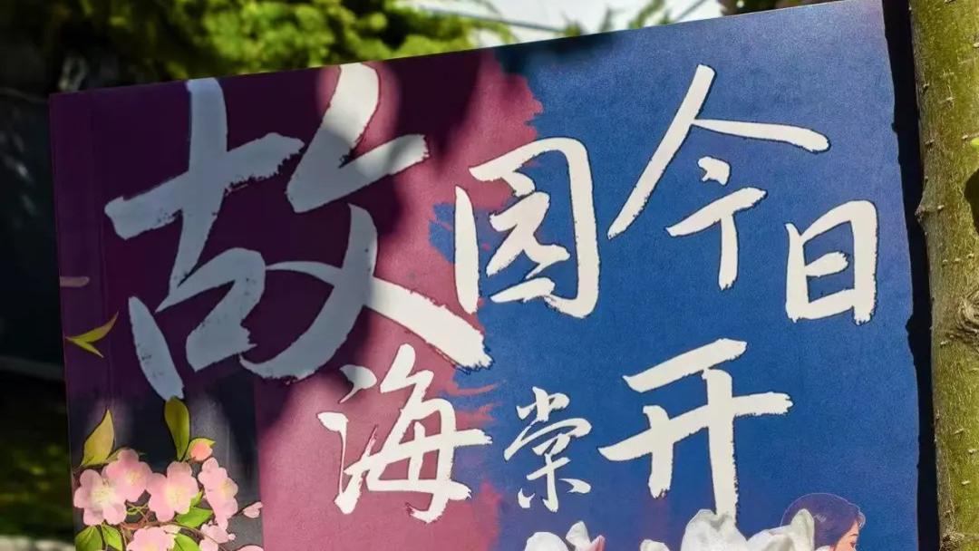 《故园今日海棠开》一部荡气回肠的家族传奇文学佳作