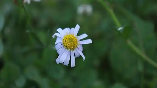 以为喝粥养胃却湿越来越多！每天敲敲这3处，给湿一条出路，帮脾减负