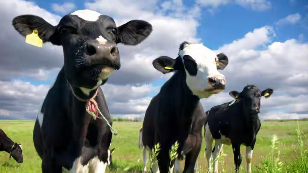 喝牛奶的事，在美国复杂了