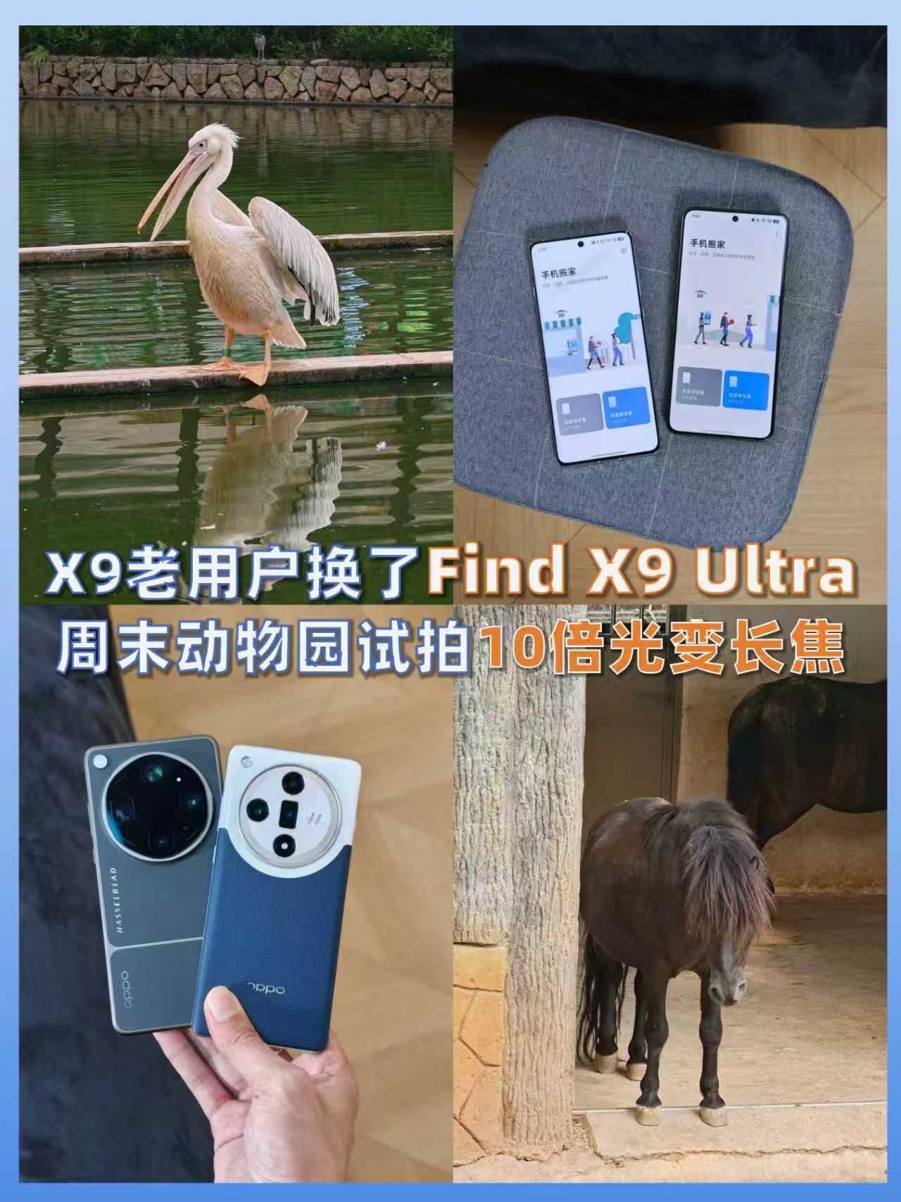 为什么换手机大家都先选原牌子🤔