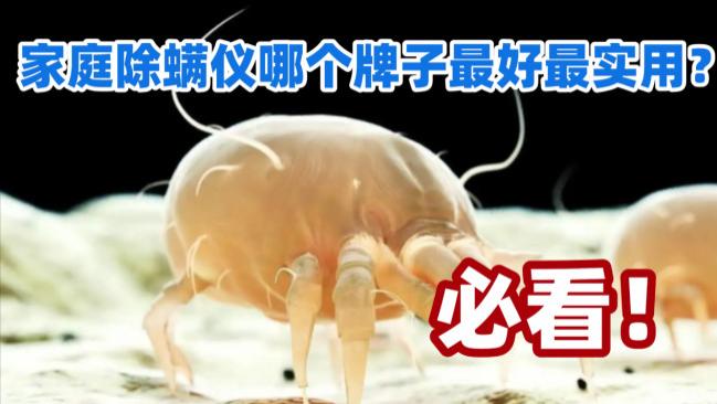 家庭除螨仪哪个牌子最好最实用？家用除螨仪十大排名榜公布？希亦、松下戴森等除螨仪品牌排行榜前十名新鲜出