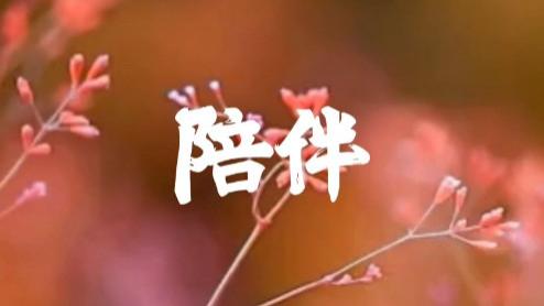 医生不是神，最好的医疗，是人文关怀。