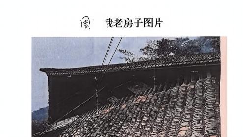 地方村务管理举报待核 村民持续反映盼妥善解决