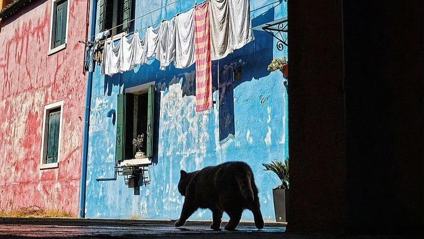 关于横向构图的几个小细节