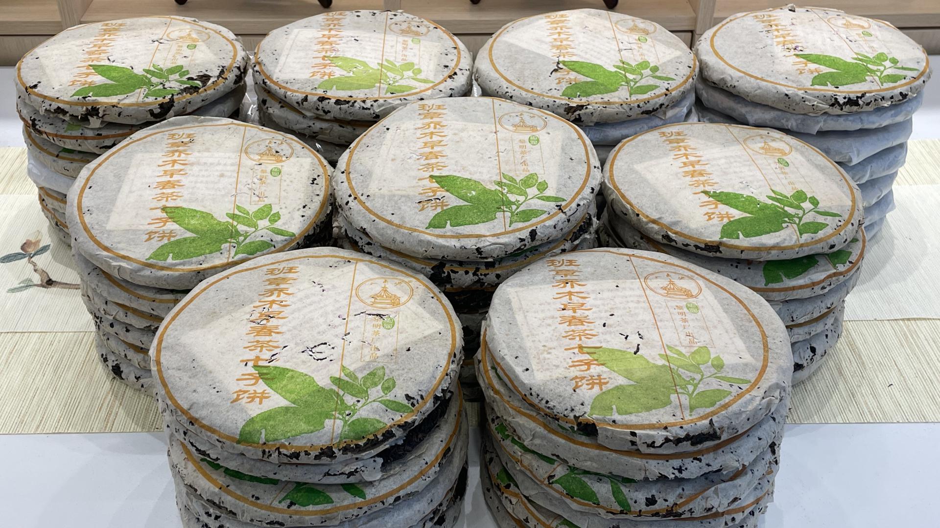 04班章乔木早春茶，黎明茶厂早期标杆老生茶，一饼难求