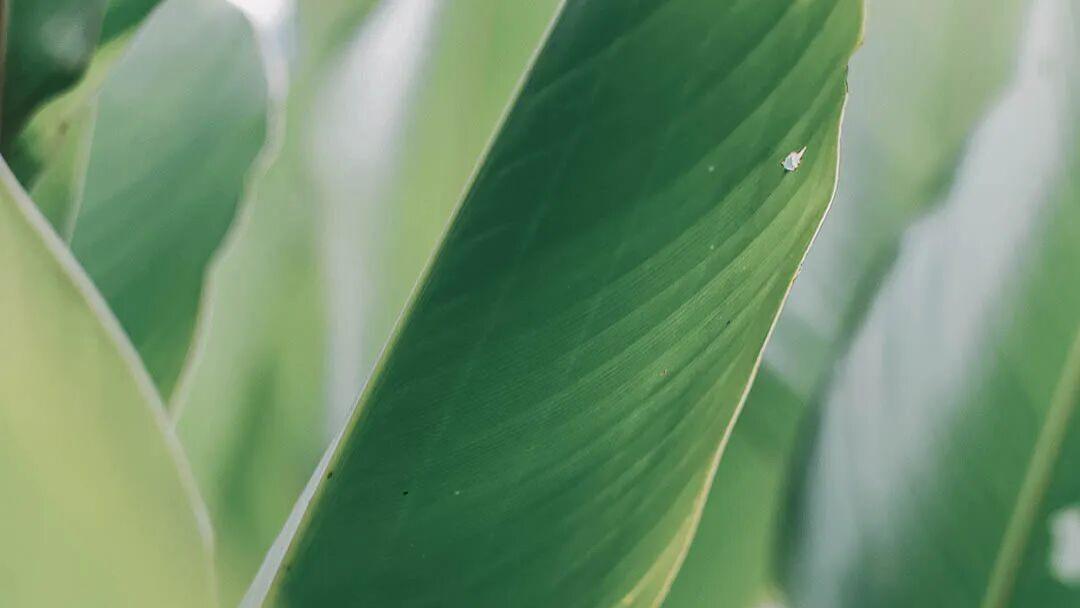 初中政治现在有哪些课题研究？