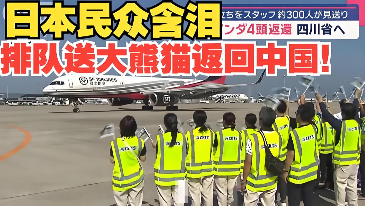 熊猫要走光了！日本即将进入“无熊猫时代”，300亿生意谁来撑？