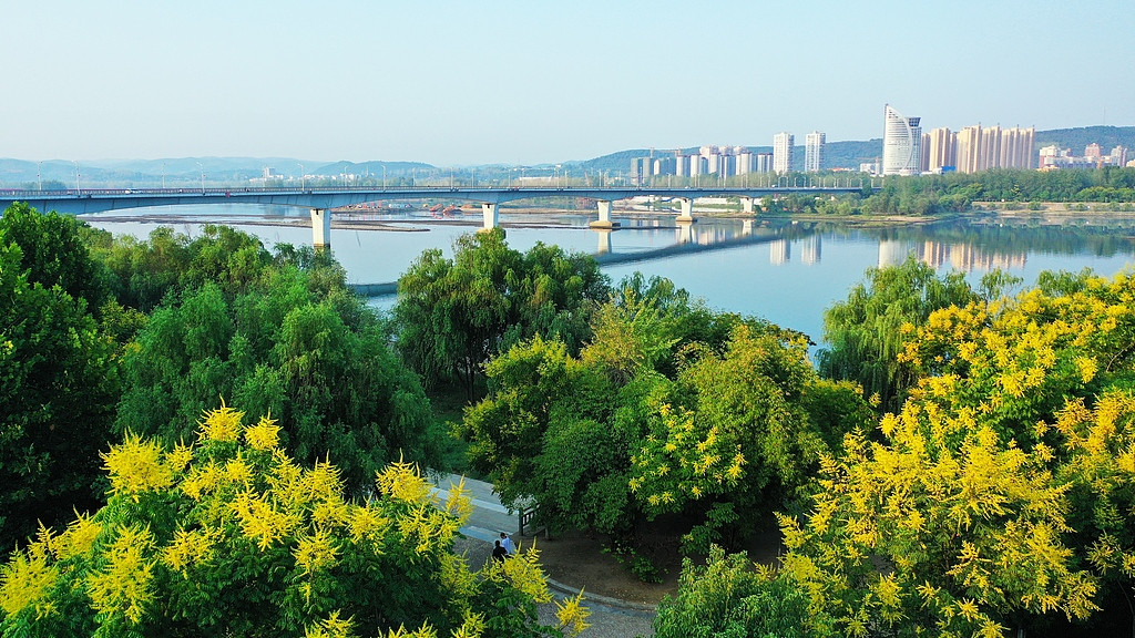 《吸引力法则》：为什么你定了目标却总无法实现？你可能违反了宇宙的这3条接收法则