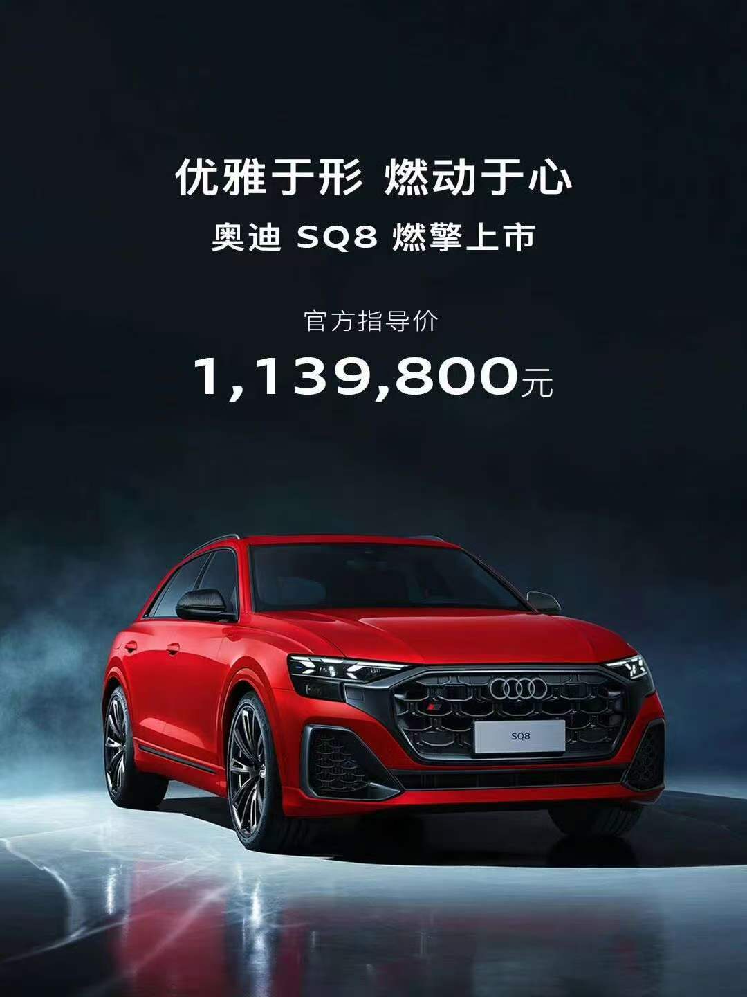 今年奥迪展台的展车颜色，普遍有点儿偏素。但好在SQ8的登陆、奥迪F1的赛车、和S