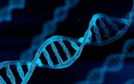 我有一个大胆的猜想：只要新生儿出生，就必须进行DNA检测，那样全国都没有人口拐卖了…