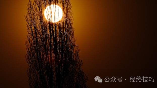 春天抓紧吃这种野菜，一养心脉，二散寒湿、三升阳气，现在吃正当季！