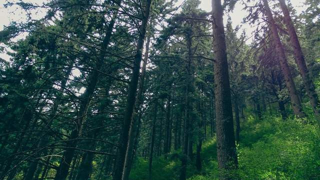 三边封白牛皮纸袋FSC认证GRS证书服装电子产品化妆品高级环保包装