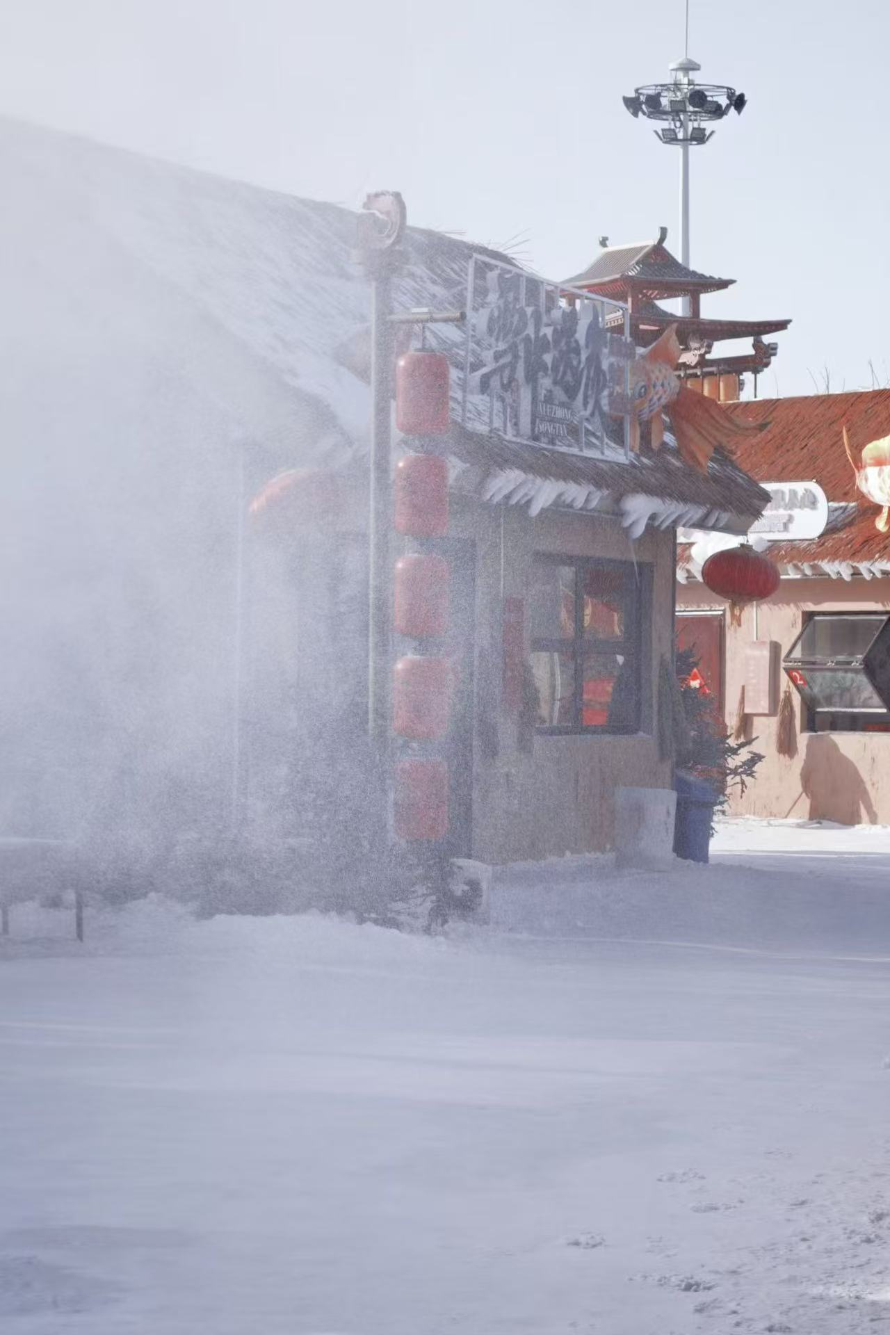 吉林松原，查干湖冬捕游玩攻略🔥