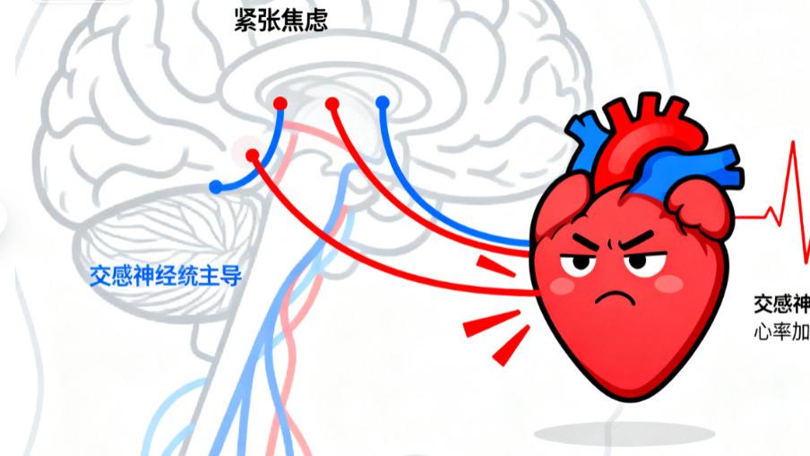 心脏总 “慌慌的”？3 个家常护心法，让你睡得香、动得稳