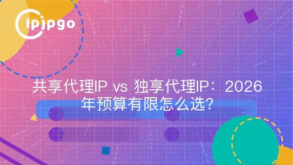 共享代理IP vs 独享代理IP：2026年预算有限怎么选？