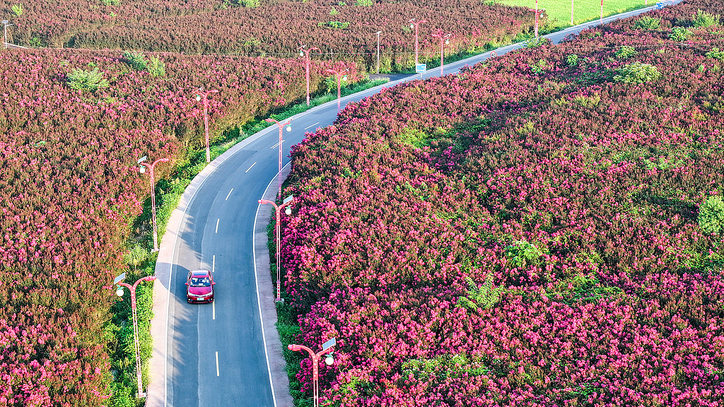 施工招标完成，广东S340省道改建工程即将开工，双向两车道