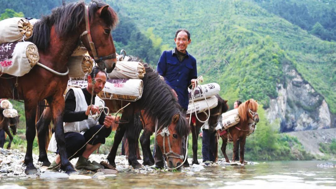 安化风雨桥：时光的榫卯，锁住三百年的风雨