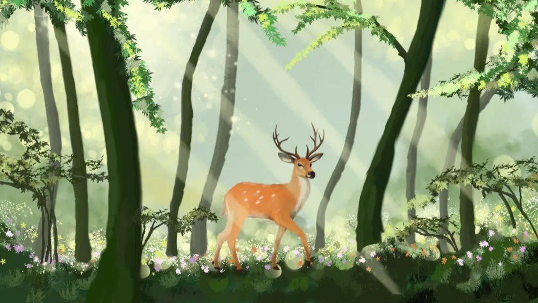 人生最好的状态：风来随缘，路来直行