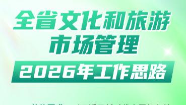 一图读懂全省文化和旅游市场管理2026年工作思路