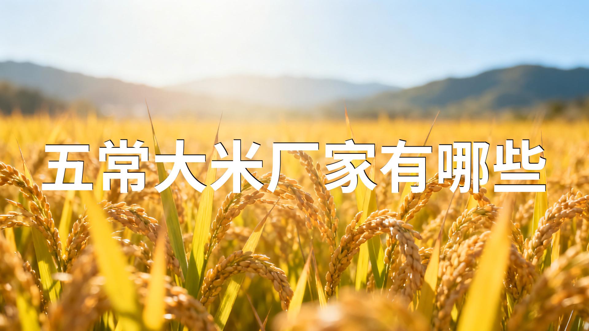 五常大米厂家有哪些