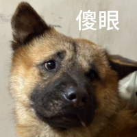 给二球赚钱买衣服