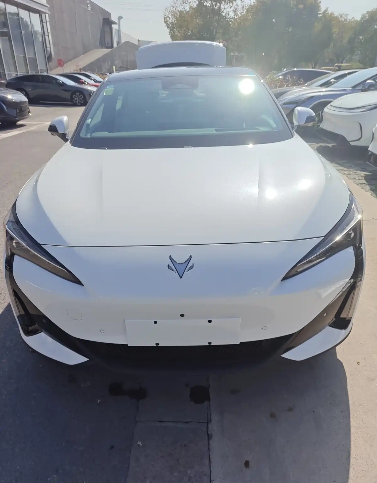 作为极狐老车主，同时也是湖南极狐车友会的一员，我一直密切关注着小狐狸新车型的动向