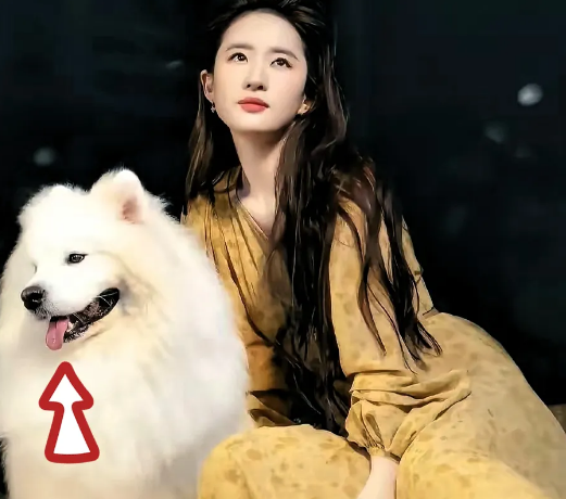 刘亦菲
该做的事一样没做
没结婚，没成家，也没有孩子，现在都
38了
一个人过日