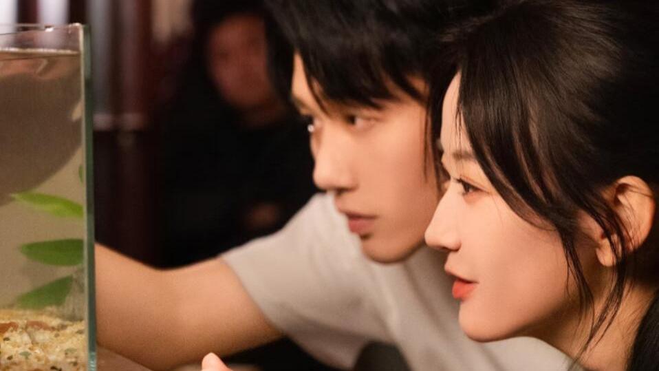 听花岛顶级阵容+63万预约，热度只有6400万，《黄雀风》被低估了还是本来就不够好？