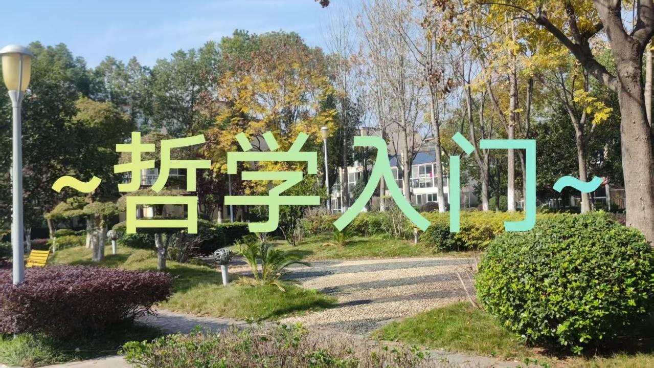 哲学入门~3｜理论和哲学基础理论