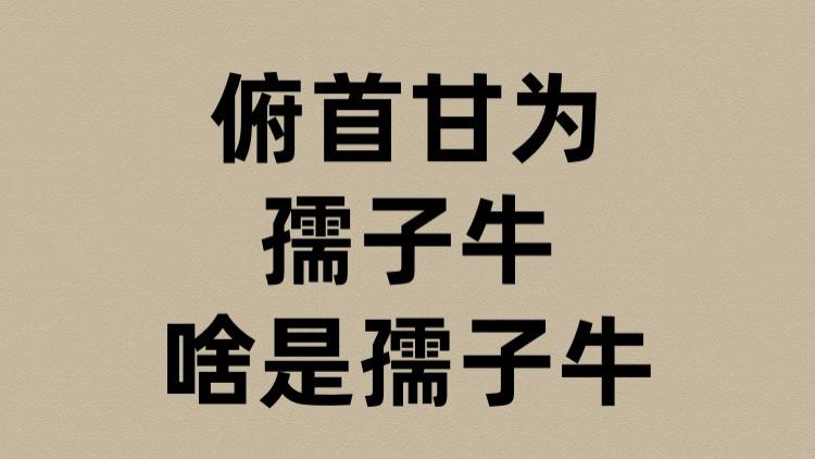 俯首甘为孺子牛的孺子牛是啥？
