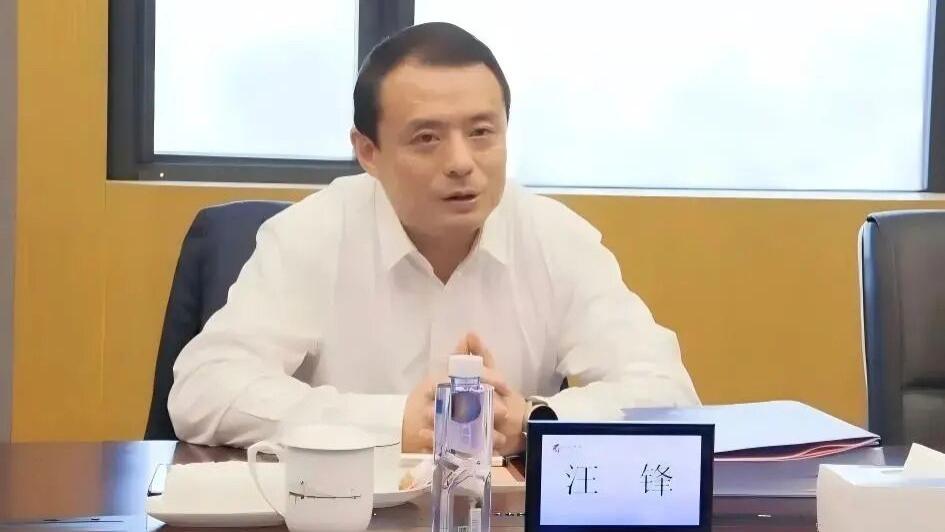 汪锋履新宁沪高速：从技术专家到“黄金大动脉”的掌舵人