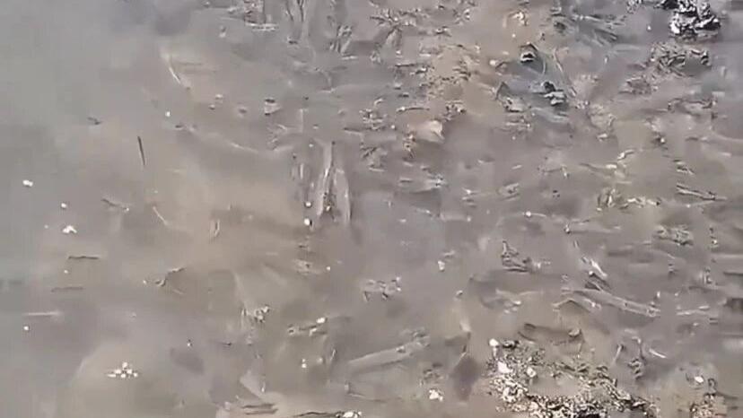 有这样一种地方，海水一退去，满满的都是海虾，真想抓一些回家爆炒着吃！