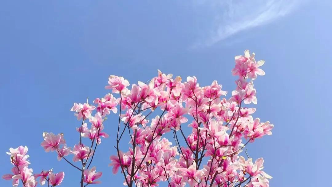 随笔：走够得着的路，爱够的着的人，过够得着的生活