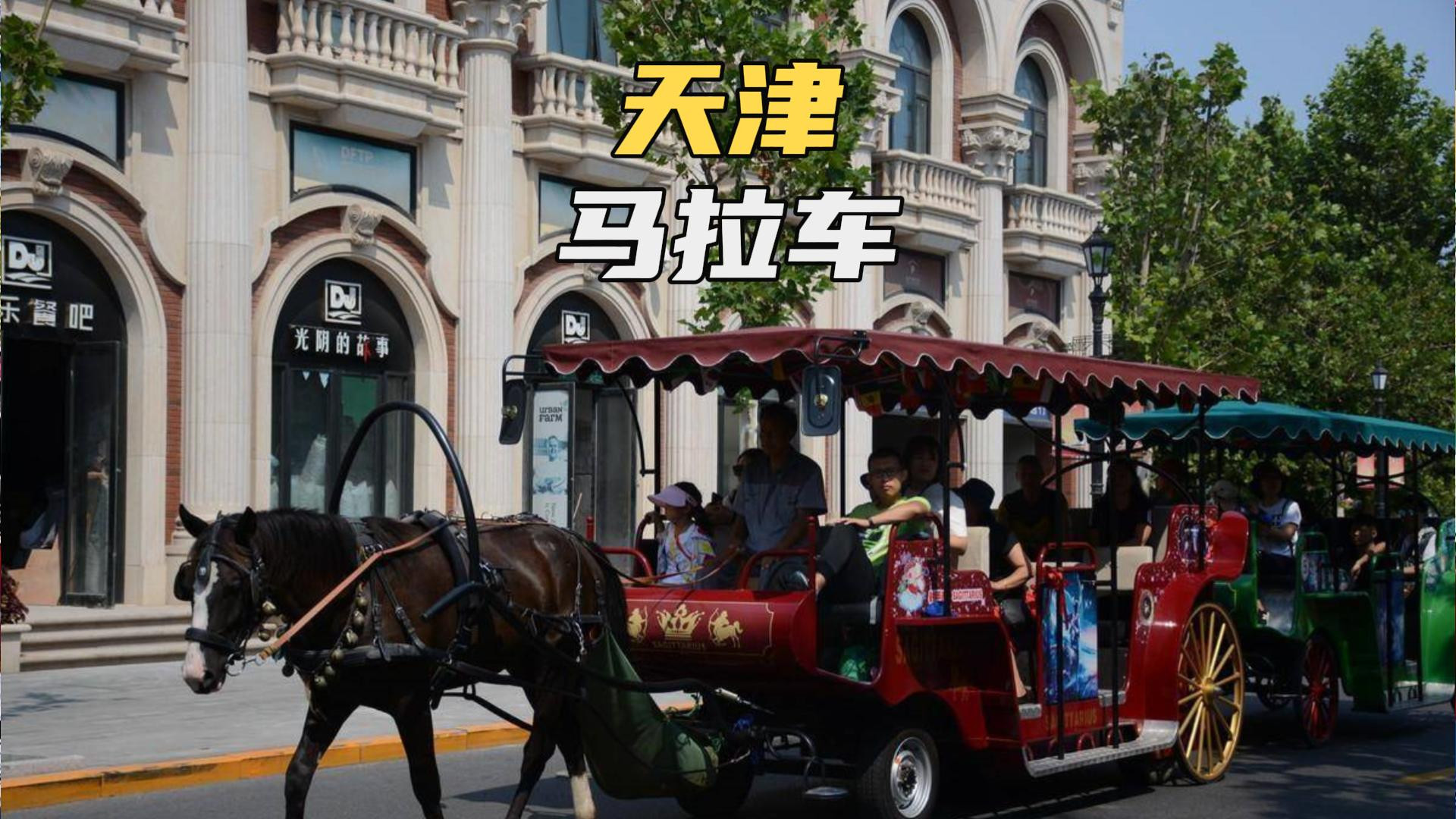 这马的待遇比人还好