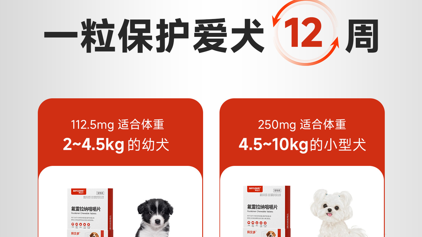 2026年狗狗驱虫咀嚼片深度评测：科学驱虫与选购指南