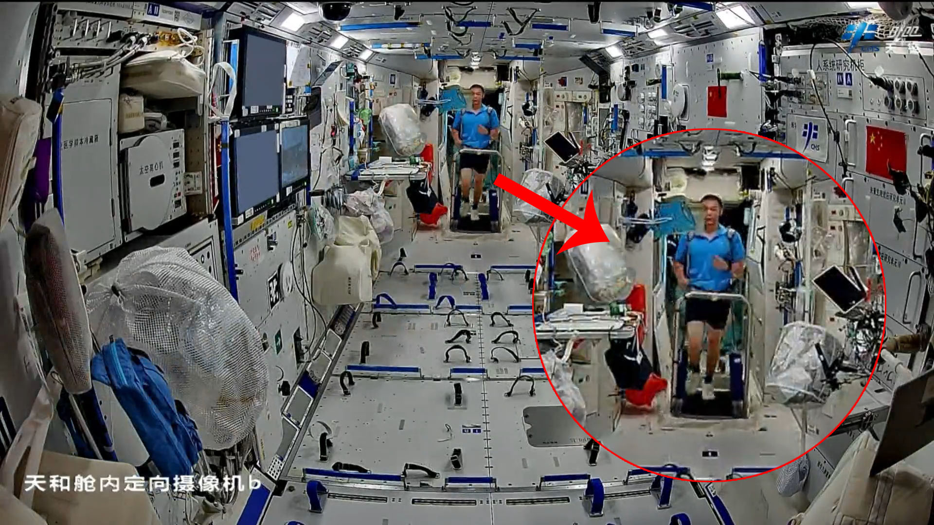 为啥太空跑台上，张志远跑得双臂抡开大步流星，黎家盈却在慢走？