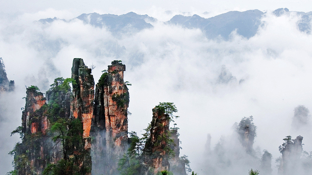 对过去操作失误的分析与总结