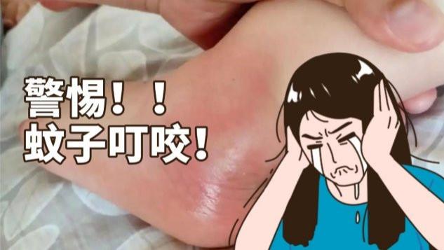 房间灭蚊灯哪个牌子好一点？2026年618十大房间灭蚊灯品牌全收录！锐舞、希亦等在内的十大极佳品牌~