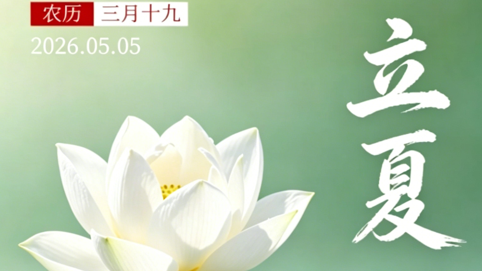 今日立夏｜把初夏的温柔，酿成一杯清冽回甘​