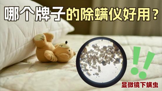 无线除螨仪哪个品牌最好最实用？友望除螨仪哪个型号性价比高？热门家用除螨仪10大品牌榜单全解析
